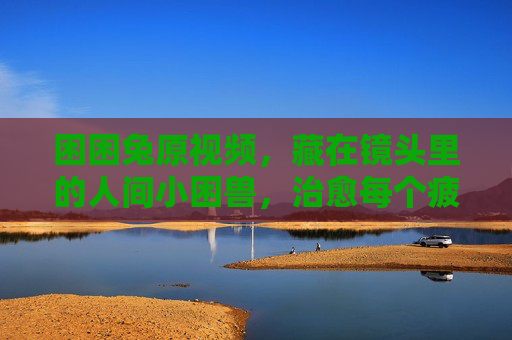 困困兔原视频,藏在镜头里的人间小困兽,治愈每个疲惫的瞬间,困困兔,藏在镜头里的人间小困兽,治愈疲惫瞬间 困困兔原视频,藏在镜头里的人间小困兽,治愈每个疲惫的瞬间,困困兔,藏在镜头里的人间小困兽,治愈疲惫瞬间