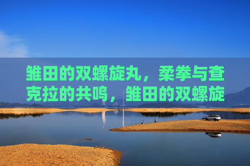 雏田的双螺旋丸,柔拳与查克拉的共鸣,雏田的双螺旋丸,柔拳与查克拉的共鸣 雏田的双螺旋丸,柔拳与查克拉的共鸣,雏田的双螺旋丸,柔拳与查克拉的共鸣