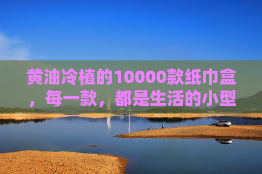 黄油冷植的10000款纸巾盒，每一款，都是生活的小型美术馆，黄油冷植10000款纸巾盒，生活的小型美术馆