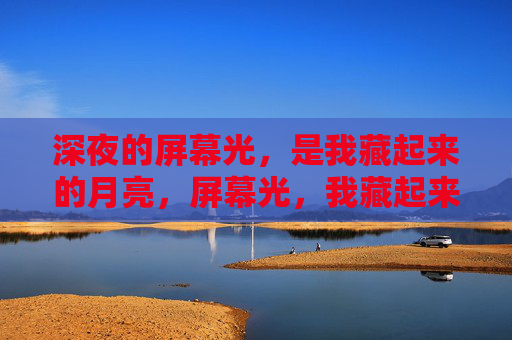 深夜的屏幕光,是我藏起来的月亮,屏幕光,我藏起来的月亮 深夜的屏幕光,是我藏起来的月亮,屏幕光,我藏起来的月亮