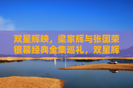 双星辉映,梁家辉与张国荣银幕经典全集巡礼,双星辉映,梁家辉张国荣银幕经典全集巡礼 双星辉映,梁家辉与张国荣银幕经典全集巡礼,双星辉映,梁家辉张国荣银幕经典全集巡礼
