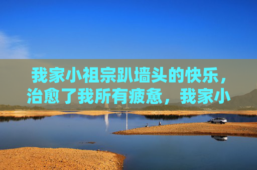我家小祖宗趴墙头的快乐,治愈了我所有疲惫,我家小祖宗趴墙头的快乐,治愈疲惫 我家小祖宗趴墙头的快乐,治愈了我所有疲惫,我家小祖宗趴墙头的快乐,治愈疲惫