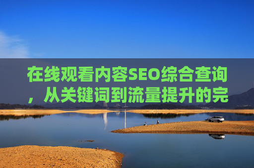 在线观看内容SEO综合查询，从关键词到流量提升的完整指南，SEO，从关键词优化到流量提升的完整指南