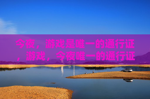 今夜，游戏是唯一的通行证，游戏，今夜唯一的通行证