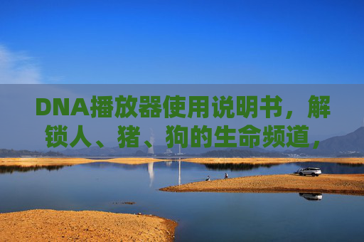 DNA播放器使用说明书,解锁人、猪、狗的生命频道,DNA播放器使用说明书,解锁人猪狗生命频道 DNA播放器使用说明书,解锁人、猪、狗的生命频道,DNA播放器使用说明书,解锁人猪狗生命频道