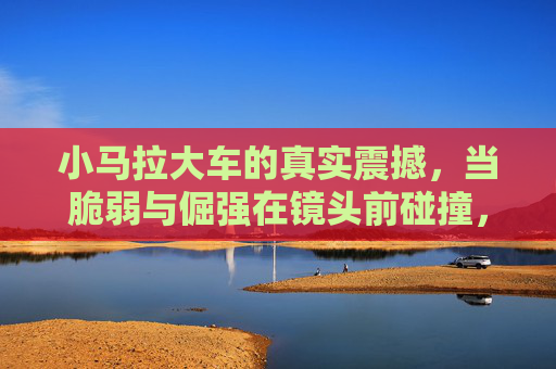 小马拉大车的真实震撼,当脆弱与倔强在镜头前碰撞,小马拉大车,脆弱与倔强的镜头碰撞 小马拉大车的真实震撼,当脆弱与倔强在镜头前碰撞,小马拉大车,脆弱与倔强的镜头碰撞