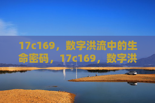 17c169,数字洪流中的生命密码,17c169,数字洪流的生命密码 17c169,数字洪流中的生命密码,17c169,数字洪流的生命密码