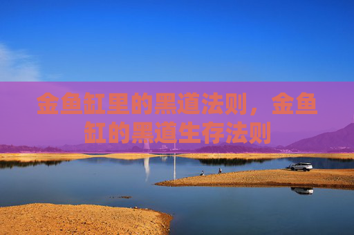 金鱼缸里的黑道法则,金鱼缸的黑道生存法则 金鱼缸里的黑道法则,金鱼缸的黑道生存法则