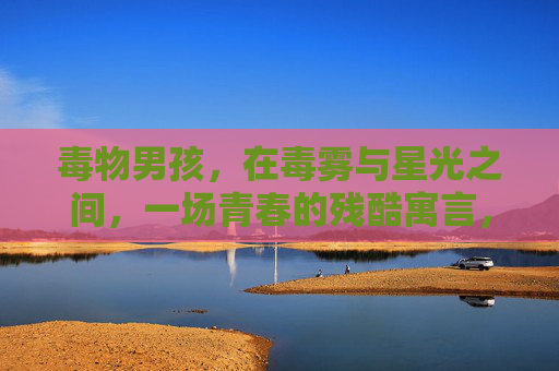 毒物男孩,在毒雾与星光之间,一场青春的残酷寓言,毒物男孩,毒雾与星光间的青春残酷寓言 毒物男孩,在毒雾与星光之间,一场青春的残酷寓言,毒物男孩,毒雾与星光间的青春残酷寓言