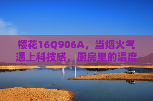 樱花16Q906A,当烟火气遇上科技感,厨房里的温度守护者,樱花16Q906A,烟火气与科技感的厨房温度守护者 樱花16Q906A,当烟火气遇上科技感,厨房里的温度守护者,樱花16Q906A,烟火气与科技感的厨房温度守护者