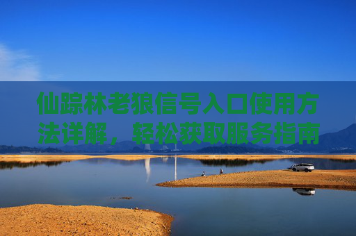 仙踪林老狼信号入口使用方法详解,轻松获取服务指南 仙踪林老狼信号入口使用方法详解,轻松获取服务指南
