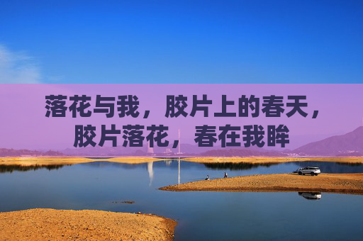 落花与我，胶片上的春天，胶片落花，春在我眸