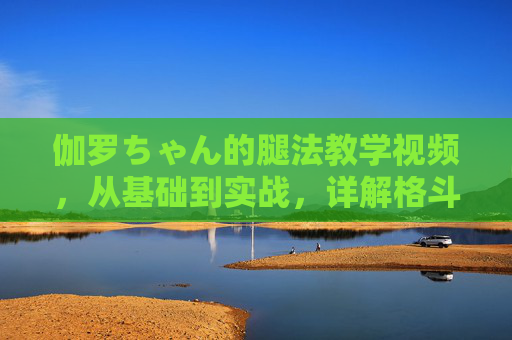 伽罗ちゃん的腿法教学视频,从基础到实战,详解格斗中的制胜腿法,伽罗ちゃん腿法教学,从基础到实战详解制胜腿法 伽罗ちゃん的腿法教学视频,从基础到实战,详解格斗中的制胜腿法,伽罗ちゃん腿法教学,从基础到实战详解制胜腿法