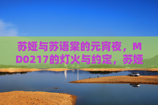 苏娅与苏语棠的元宵夜，MD0217的灯火与约定，苏娅与苏语棠的元宵灯火约定，MD0217