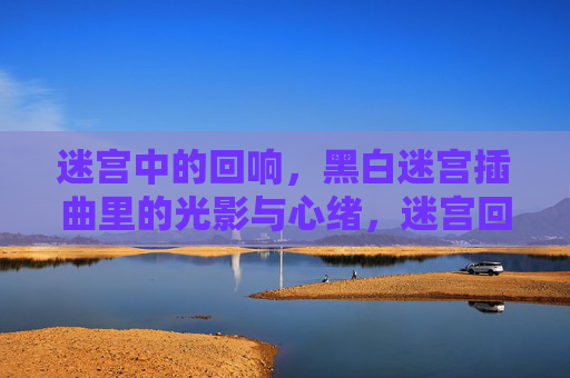 迷宫中的回响,黑白迷宫插曲里的光影与心绪,迷宫回响,黑白光影中的心绪 迷宫中的回响,黑白迷宫插曲里的光影与心绪,迷宫回响,黑白光影中的心绪