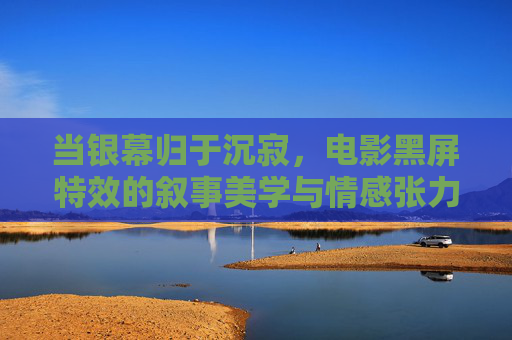 当银幕归于沉寂，电影黑屏特效的叙事美学与情感张力，银幕沉寂，黑屏特效的叙事美学与情感张力