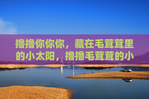 撸撸你你你,藏在毛茸茸里的小太阳,撸撸毛茸茸的小太阳 撸撸你你你,藏在毛茸茸里的小太阳,撸撸毛茸茸的小太阳