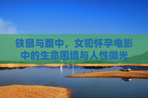 铁窗与腹中,女犯怀孕电影中的生命困境与人性微光 铁窗与腹中,女犯怀孕电影中的生命困境与人性微光