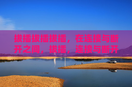 拔插拔插拔插,在连接与断开之间,拔插,连接与断开的往复 拔插拔插拔插,在连接与断开之间,拔插,连接与断开的往复
