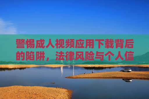 警惕成人视频应用下载背后的陷阱，法律风险与个人信息安全不容忽视，警惕成人视频应用下载，法律风险与个人信息安全陷阱
