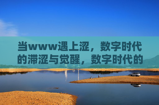 当www遇上涩,数字时代的滞涩与觉醒,数字时代的www之涩与觉醒 当www遇上涩,数字时代的滞涩与觉醒,数字时代的www之涩与觉醒