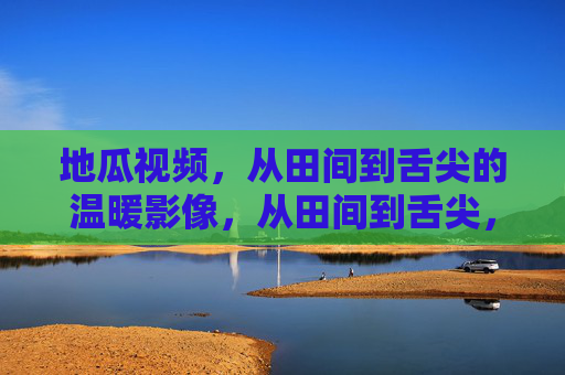 地瓜视频，从田间到舌尖的温暖影像，从田间到舌尖，地瓜的温暖影像