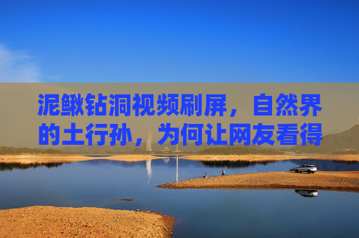 泥鳅钻洞视频刷屏,自然界的土行孙,为何让网友看得停不下来?泥鳅土行孙钻洞刷屏,网友直呼,根本停不下来! 泥鳅钻洞视频刷屏,自然界的土行孙,为何让网友看得停不下来?泥鳅土行孙钻洞刷屏,网友直呼,根本停不下来!