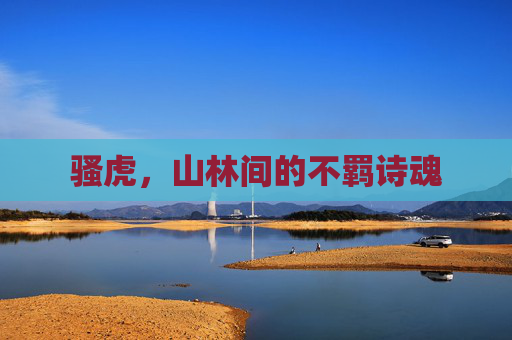 骚虎,山林间的不羁诗魂 骚虎,山林间的不羁诗魂