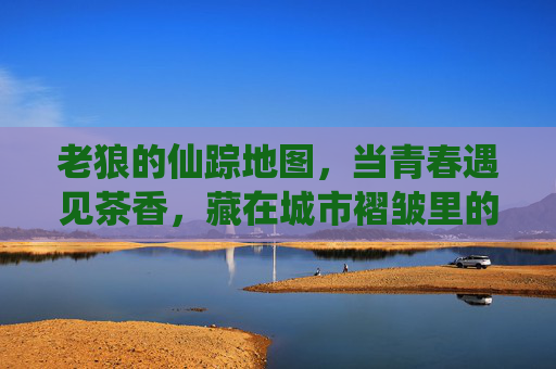 老狼的仙踪地图,当青春遇见茶香,藏在城市褶皱里的进入地址,老狼仙踪地图,青春遇见茶香的城市褶皱入口 老狼的仙踪地图,当青春遇见茶香,藏在城市褶皱里的进入地址,老狼仙踪地图,青春遇见茶香的城市褶皱入口