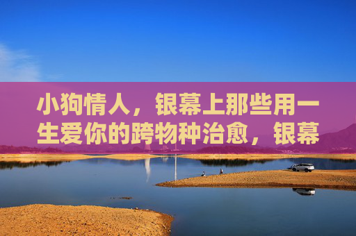小狗情人,银幕上那些用一生爱你的跨物种治愈,银幕小狗情人,用一生爱你的跨物种治愈 小狗情人,银幕上那些用一生爱你的跨物种治愈,银幕小狗情人,用一生爱你的跨物种治愈
