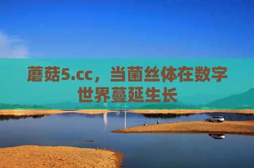 蘑菇5.cc,当菌丝体在数字世界蔓延生长 蘑菇5.cc,当菌丝体在数字世界蔓延生长