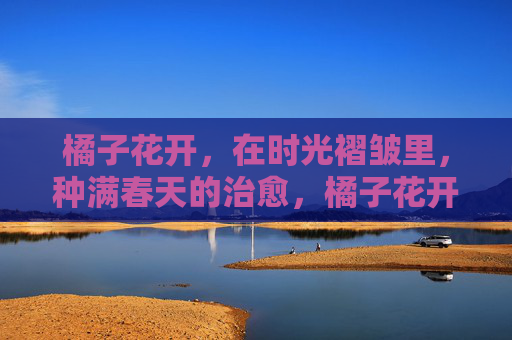橘子花开,在时光褶皱里,种满春天的治愈,橘子花开,时光褶皱里种满春日治愈 橘子花开,在时光褶皱里,种满春天的治愈,橘子花开,时光褶皱里种满春日治愈