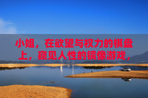 小姐,在欲望与权力的棋盘上,窥见人性的镜像游戏,欲望与权力的棋盘,人性镜像游戏 小姐,在欲望与权力的棋盘上,窥见人性的镜像游戏,欲望与权力的棋盘,人性镜像游戏