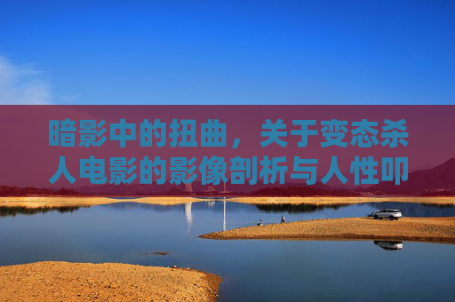 暗影中的扭曲,关于变态杀人电影的影像剖析与人性叩问 暗影中的扭曲,关于变态杀人电影的影像剖析与人性叩问
