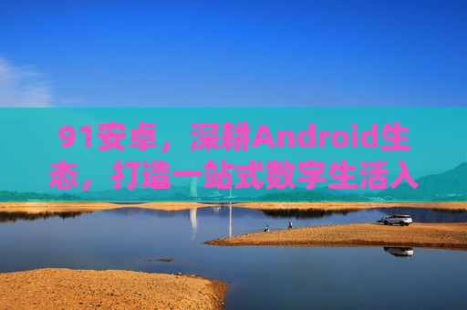 91安卓,深耕Android生态,打造一站式数字生活入口,91安卓深耕Android生态,打造一站式数字生活入口 91安卓,深耕Android生态,打造一站式数字生活入口,91安卓深耕Android生态,打造一站式数字生活入口