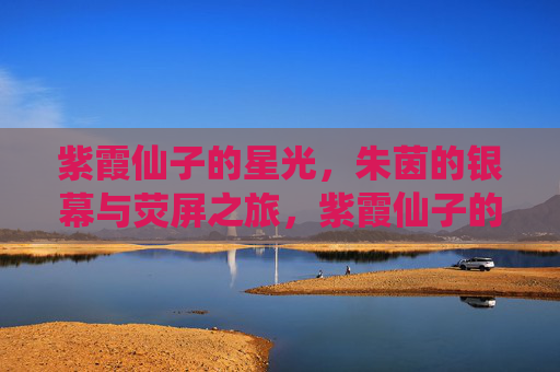 紫霞仙子的星光,朱茵的银幕与荧屏之旅,紫霞仙子的星光,朱茵的银幕荧屏之旅 紫霞仙子的星光,朱茵的银幕与荧屏之旅,紫霞仙子的星光,朱茵的银幕荧屏之旅