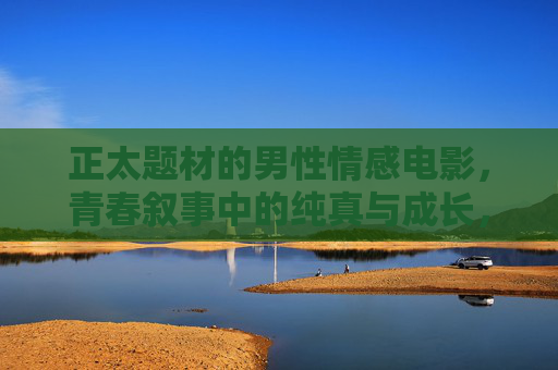 正太题材的男性情感电影,青春叙事中的纯真与成长,正太青春,纯真与成长的情感叙事 正太题材的男性情感电影,青春叙事中的纯真与成长,正太青春,纯真与成长的情感叙事