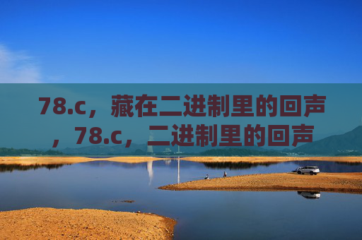 78.c，藏在二进制里的回声，78.c，二进制里的回声