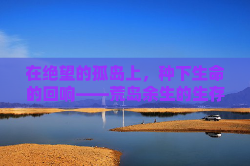 在绝望的孤岛上，种下生命的回响——荒岛余生的生存与救赎，孤岛种响，绝望中的生存与救赎