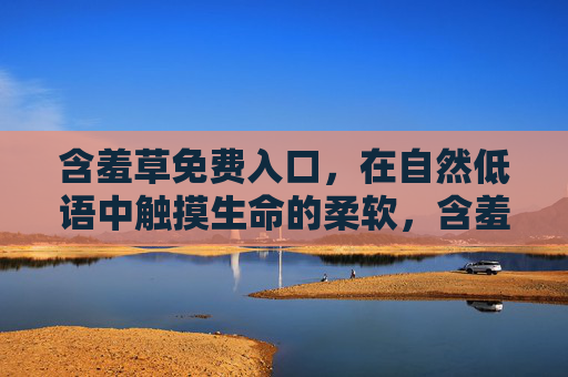 含羞草免费入口，在自然低语中触摸生命的柔软，含羞草免费入口，在自然低语中触摸生命的柔软