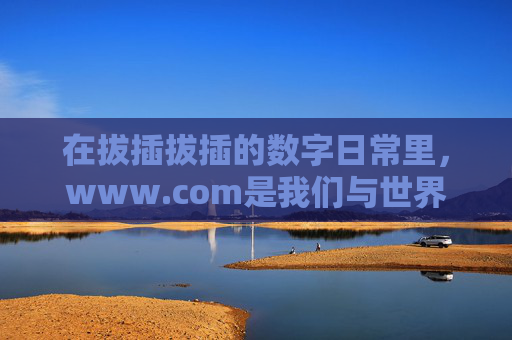 在拔插拔插的数字日常里，www.com是我们与世界的接口，拔插日常，www.com，世界接口