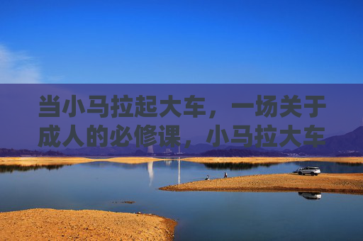 当小马拉起大车,一场关于成人的必修课,小马拉大车,成人的必修课 当小马拉起大车,一场关于成人的必修课,小马拉大车,成人的必修课