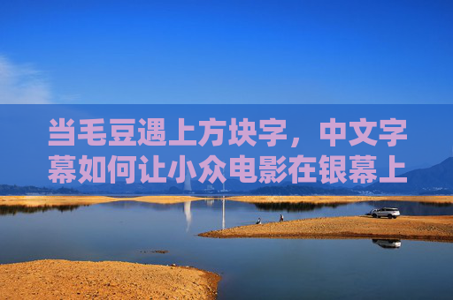当毛豆遇上方块字,中文字幕如何让小众电影在银幕上活起来,毛豆遇上方块字,中文字幕让小众电影银幕活起来 当毛豆遇上方块字,中文字幕如何让小众电影在银幕上活起来,毛豆遇上方块字,中文字幕让小众电影银幕活起来