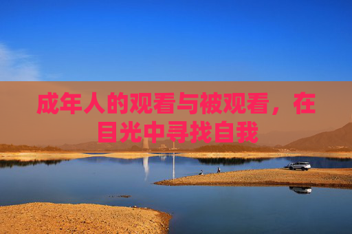 成年人的观看与被观看,在目光中寻找自我 成年人的观看与被观看,在目光中寻找自我