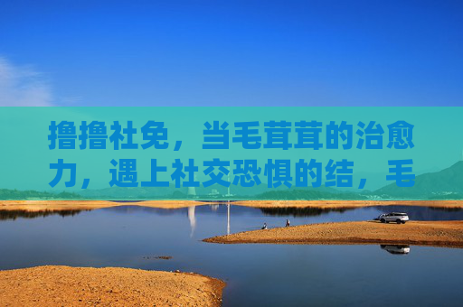 撸撸社免，当毛茸茸的治愈力，遇上社交恐惧的结，毛茸茸治愈力遇上社恐结