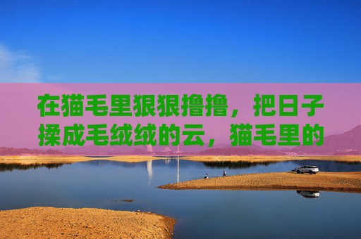 在猫毛里狠狠撸撸,把日子揉成毛绒绒的云,猫毛里的日子,揉成毛绒绒的云 在猫毛里狠狠撸撸,把日子揉成毛绒绒的云,猫毛里的日子,揉成毛绒绒的云