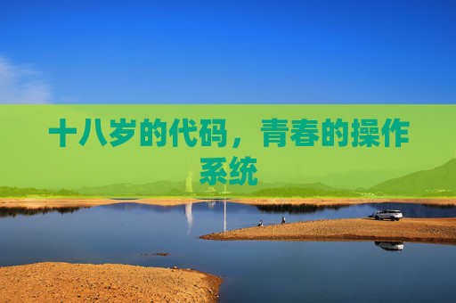 十八岁的代码,青春的操作系统 十八岁的代码,青春的操作系统