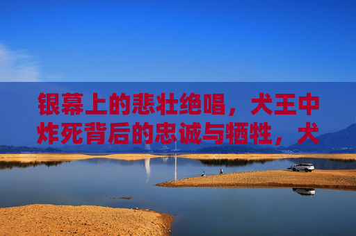 银幕上的悲壮绝唱,犬王中炸死背后的忠诚与牺牲,犬王炸死,悲壮绝唱中的忠诚与牺牲 银幕上的悲壮绝唱,犬王中炸死背后的忠诚与牺牲,犬王炸死,悲壮绝唱中的忠诚与牺牲
