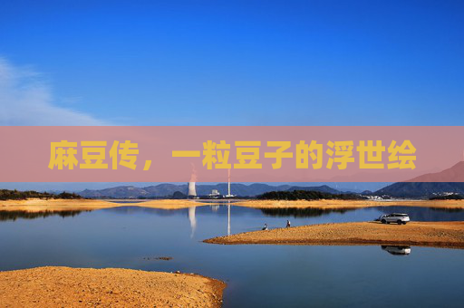 麻豆传,一粒豆子的浮世绘 麻豆传,一粒豆子的浮世绘