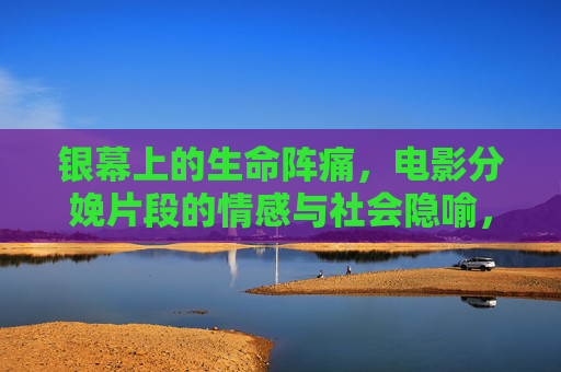 银幕上的生命阵痛，电影分娩片段的情感与社会隐喻，银幕分娩，阵痛中的情感与社会隐喻